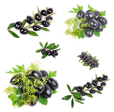 siyah zeytin