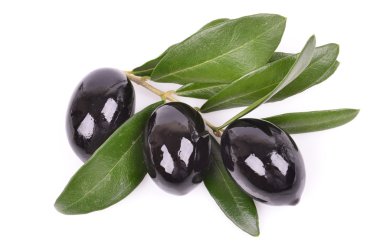 siyah zeytin