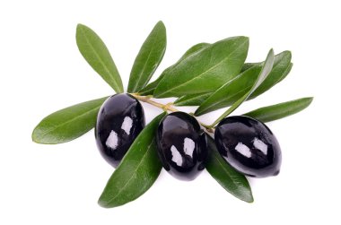 siyah zeytin