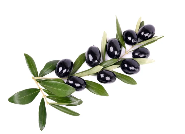 Оливки черные — стоковое фото