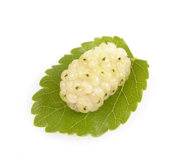 White mulberry — Stock Photo, Image
