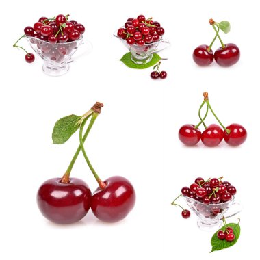 Cherry clipart