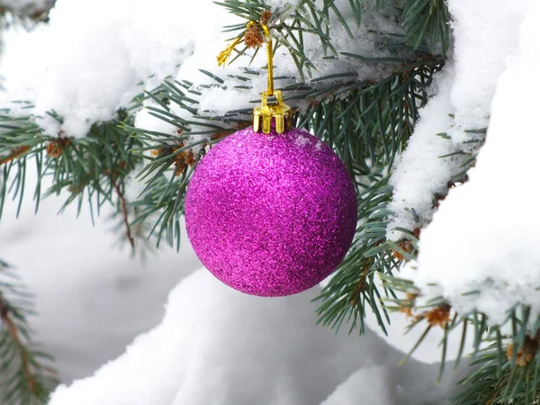 Op de kerstboom ornament — Stockfoto