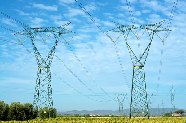 Electricidad y naturaleza — Foto de Stock