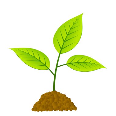 young tree clipart