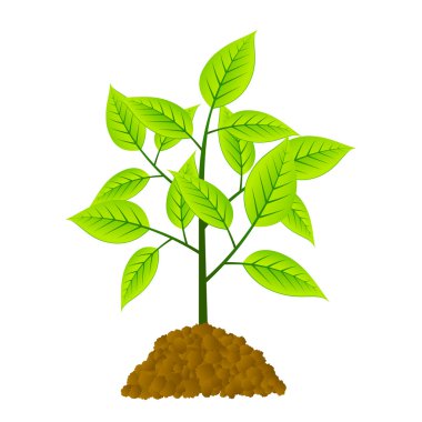 young tree clipart