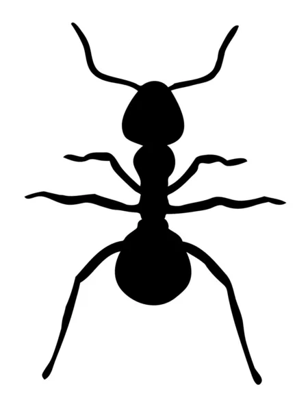Mravenec silueta — Stockový vektor