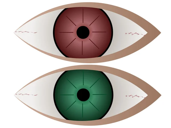 Olho verde e vermelho — Vetor de Stock