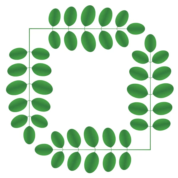 Branches d'acacia - carrées — Image vectorielle