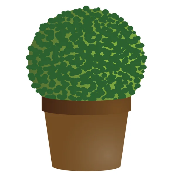 stock vector amenity tree in pot