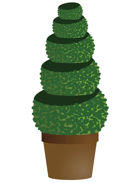 Amenity tree in pot — Stock Vector
