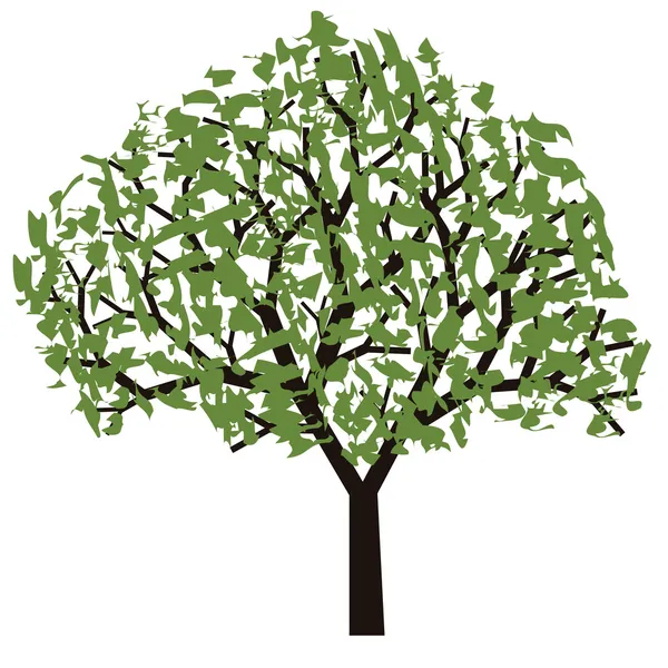 Drzewo — Wektor stockowy