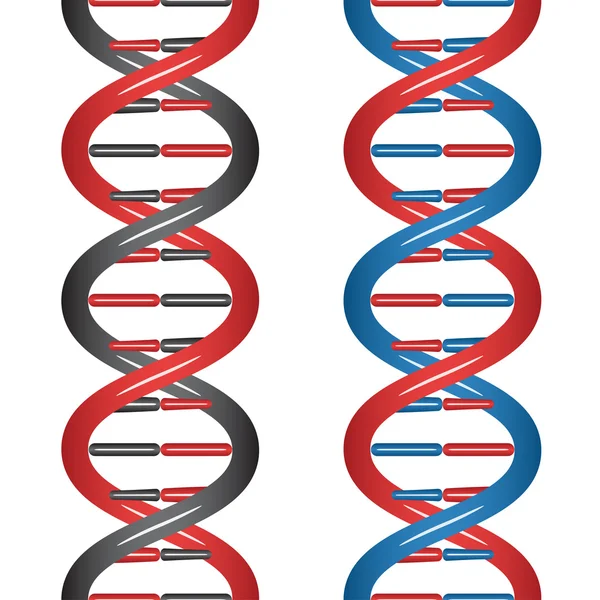ADN sem costura — Vetor de Stock