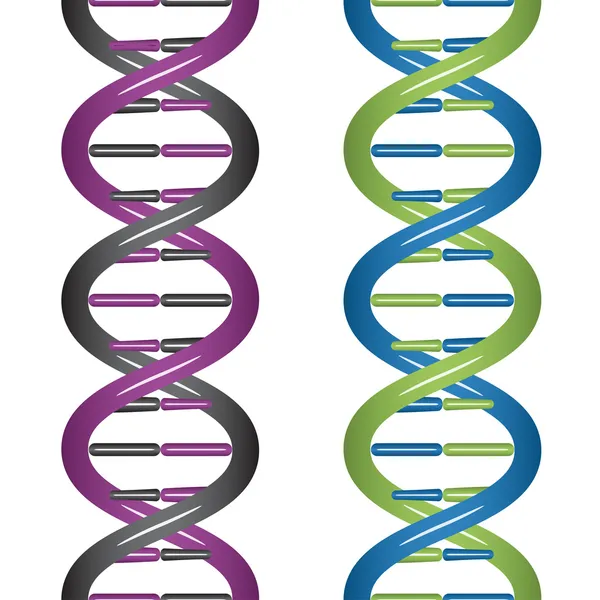 ADN sin fisuras — Archivo Imágenes Vectoriales