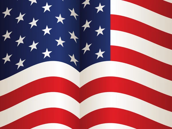 Vlajka USA — Stockový vektor
