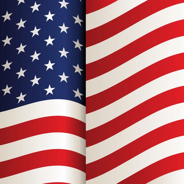 USA flag — Stock Vector