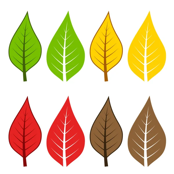 Leaf wreath svg | Set of leaves. Vector illustration. — Stock Vector ...