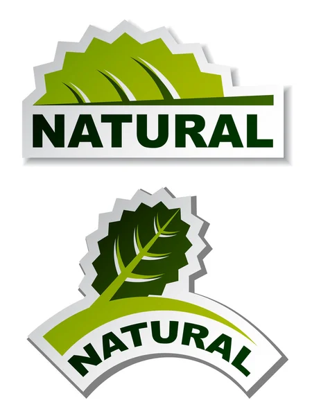 Adesivos de folhas naturais — Vetor de Stock