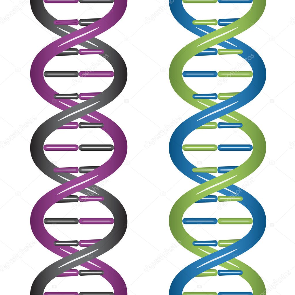 seamless DNA