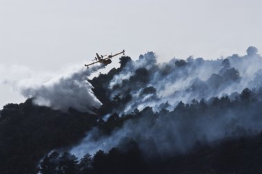 Firefighter aircraft in Spain forest fire clipart