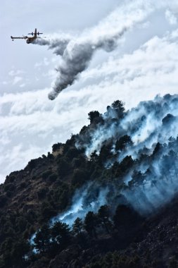 Firefighter aircraft throw water to extinguish a forest fire clipart