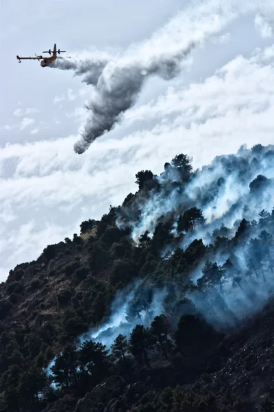 Hasič letadel házet vodou hasit požár lesa — Stock fotografie