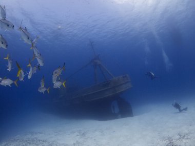 Bow of a shipwreck clipart