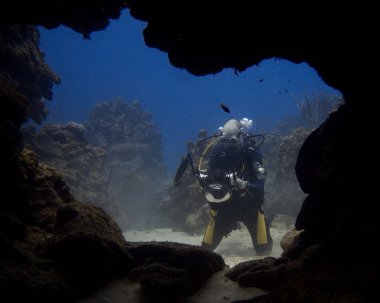 Underwater Videographer clipart