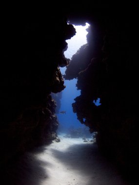Underwater cave clipart