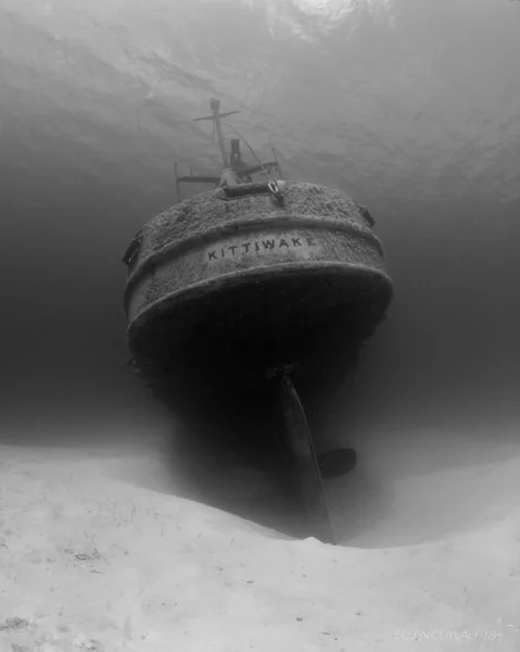 難破船の弓 — ストック写真