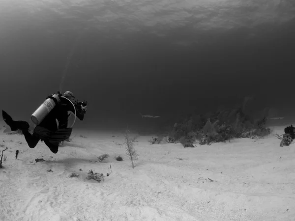 Diver videographer — Stock Photo, Image