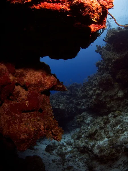 Підводний краєвид — стокове фото