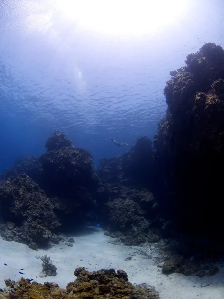 Подводный пейзаж — стоковое фото