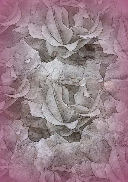 Texture with roses blossoms — Stock Photo, Image