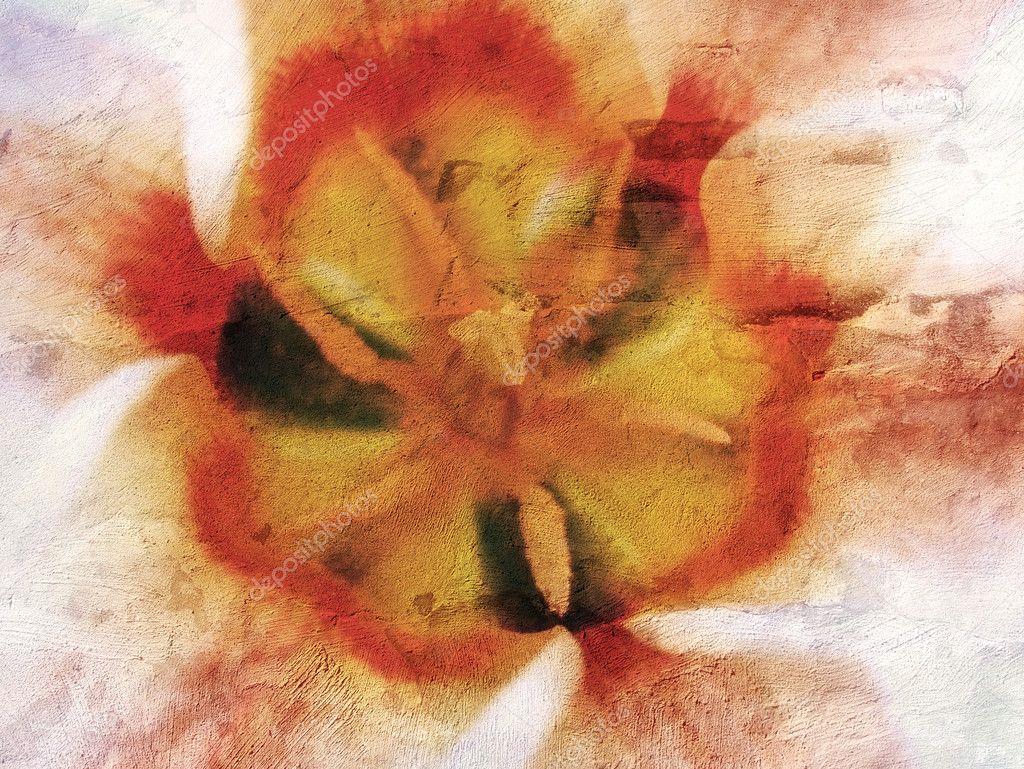 Texture with tulip blossom