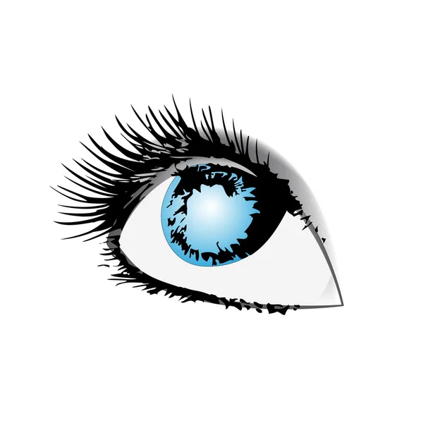 stock vector Vector eye