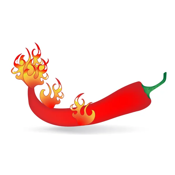 Vecteur rouge chili chaud — Image vectorielle