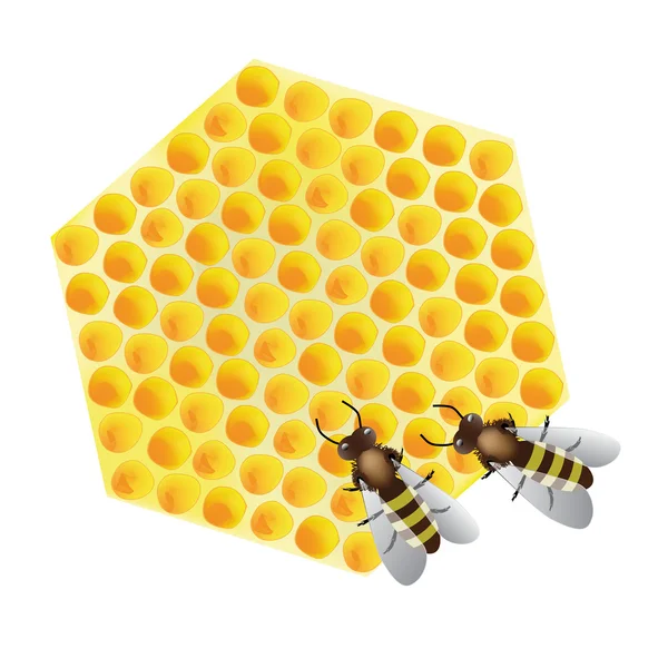 Vecteur - abeilles actives sur nid d'abeille — Image vectorielle
