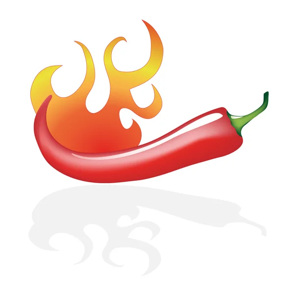 Vecteur rouge chili chaud — Image vectorielle
