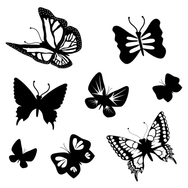 Conjunto vetorial de borboletas — Vetor de Stock
