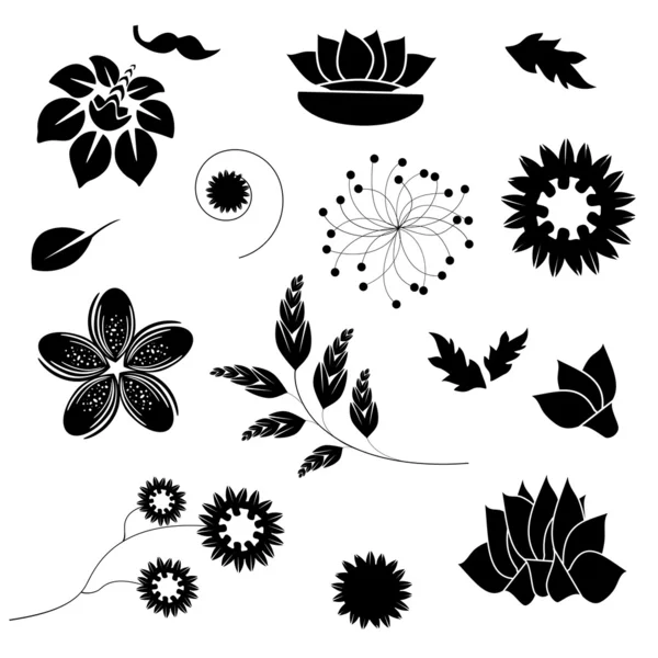 Vector conjunto de elementos florales — Archivo Imágenes Vectoriales