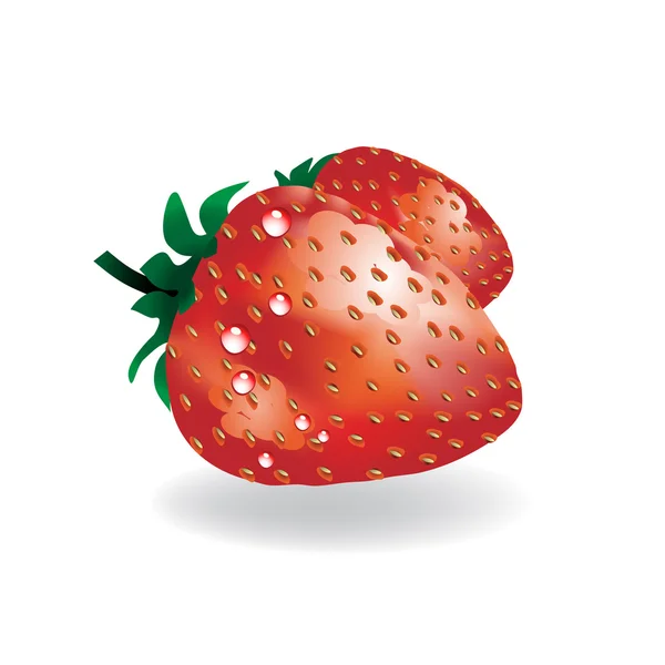 Vektor-Erdbeere — Stockvektor