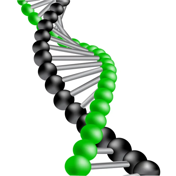 Vector DNA — Stock Vector