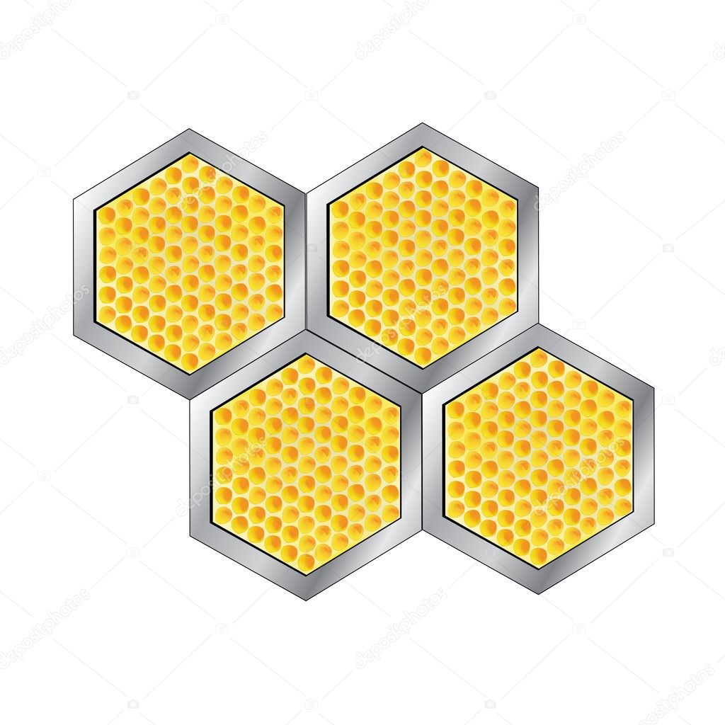 Vector honeycomb