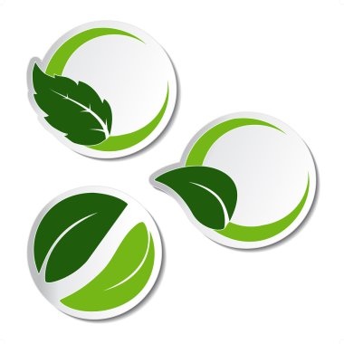 Vector natural stickers with leaf clipart