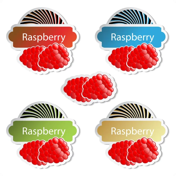 Vector fruit stickers - raspberry — Stock Vector