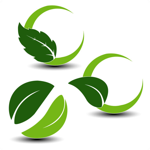 Vector natural symbols with leaf