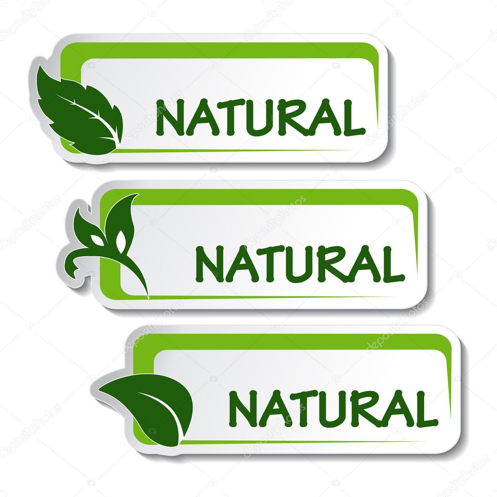 Vector natural stickers with leaf
