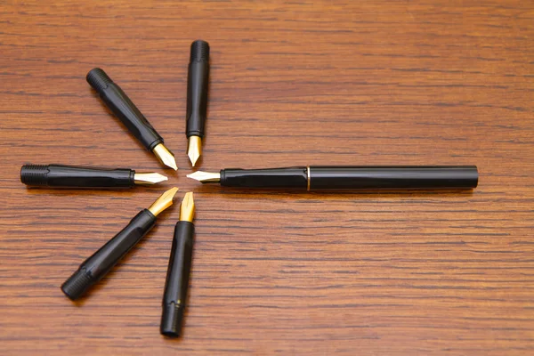 Fountain pen - Calligraphy pen