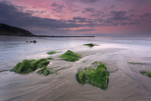 Dawn rock beach — Stock fotografie